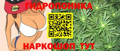 метадон Малгобек