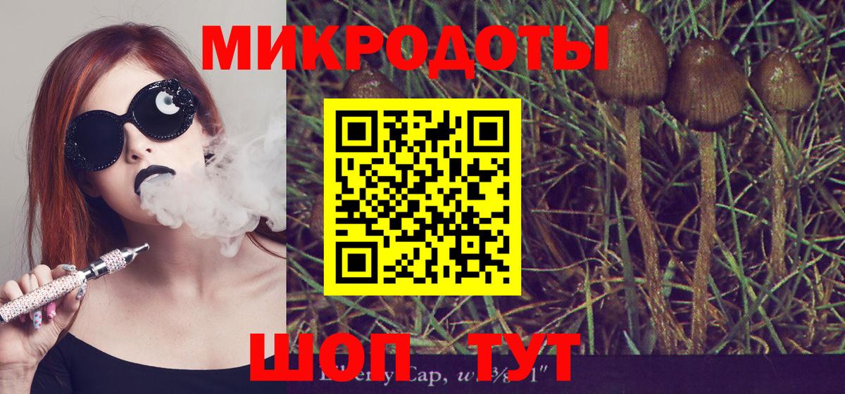 Псилоцибиновые грибы Cubensis Шатура