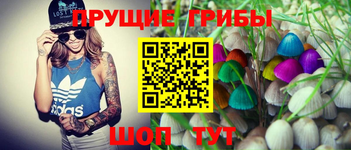 Шатура  Галлюциногенные грибы Cubensis  Вход с VPN 